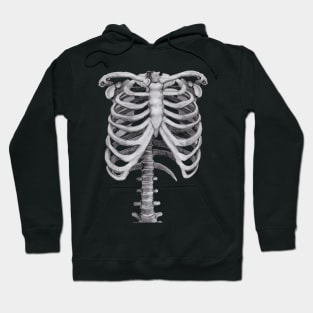 Ribs Sketch - Anatomy Drawing - Skeleton Hoodie